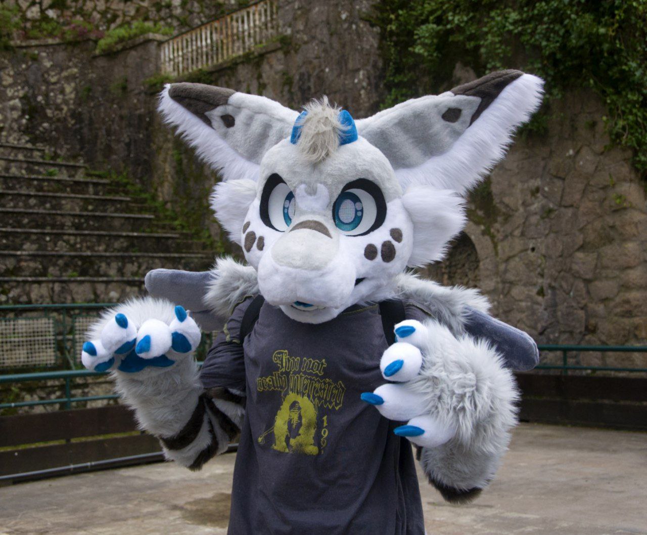 SnowDutchie profile picture